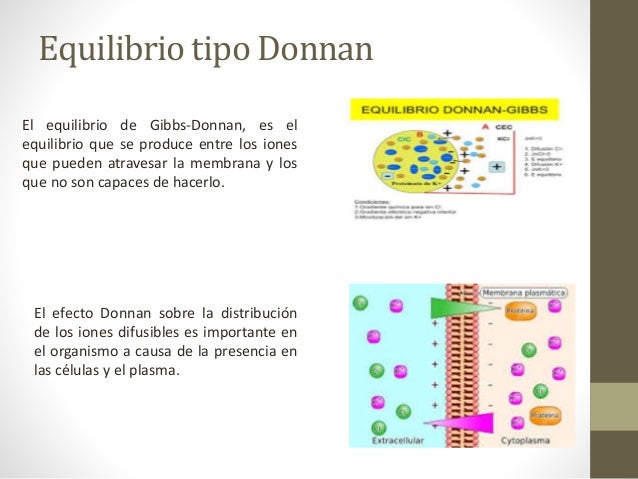 equilibrio de donnan